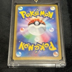 ブラッキーSAR
の画像