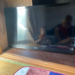 テレビ
