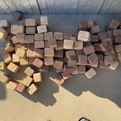 ガーデニング　庭いじり用　1つ65円　ミニサイズ　の画像