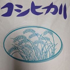 新米　令和6年  富山県産  30kg 　コシヒカリ　検査済　玄...