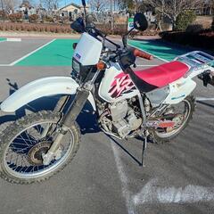 ホンダ　XR250 MD30の画像