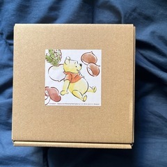 ディズニー くまのプーさんお茶碗