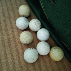 プロフ確認！早いものがちゴルフクラブの画像