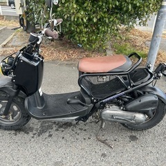 ホンダ　ズーマー