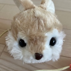 動くうさぎの画像
