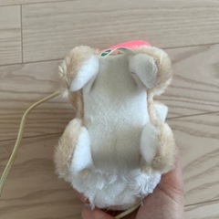 動くうさぎの画像