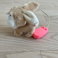 動くうさぎの画像