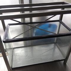 ６０センチ水槽