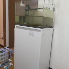 【決定済】【現状引渡し】ADA水槽、Aqulloライト、エーハイ...