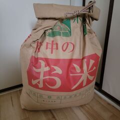 ２０キロヒノヒカリ