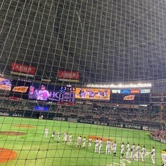野球観戦友達募集