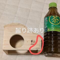 ハムスター ウェーブハウス (S)の画像