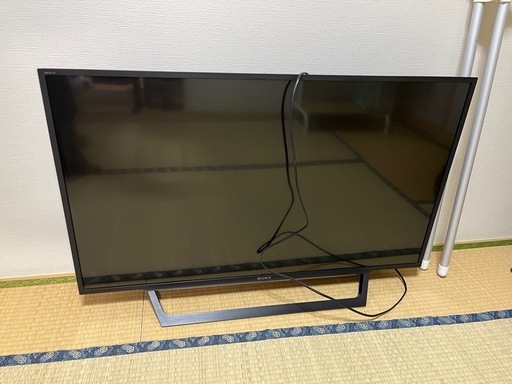 テレビ