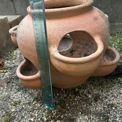 ストロベリーポット