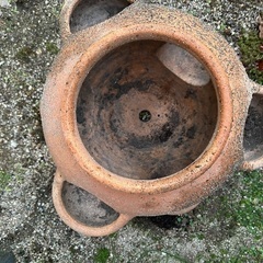 ストロベリーポットの画像