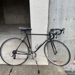 tern crest ミニベロ 美品 スマホホルダー•ライト•チェーン型の鍵付き