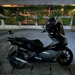 PCX81