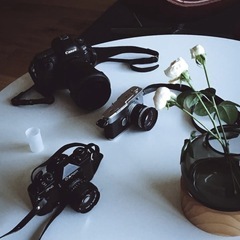 引き伸ばし機など、写真自家現像用品を探しています。