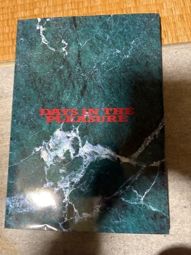 DAYS IN THE PLEASURE 10月31日(金)締め切り後投稿削除します。2ヶ月後100万に戻します。（B'z写真集）