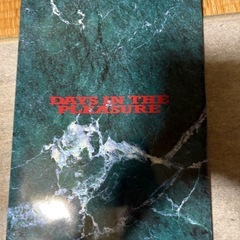 DAYS IN THE PLEASURE 10月31日(金)締め切り後投稿削除します。2ヶ月後100万に戻します。（B'z写真集）の画像