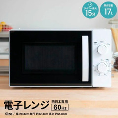 超美品  シンプル電子レンジ  