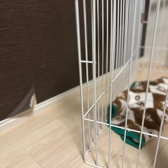 ペットサークルの画像