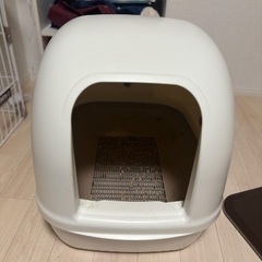 猫トイレの画像