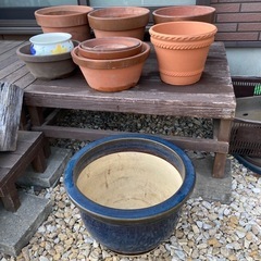 植木鉢、色々サイズ
の画像