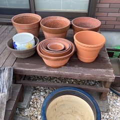 植木鉢、色々サイズ
の画像