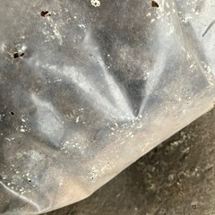玉肥　1号　強力　盆栽園芸用の画像