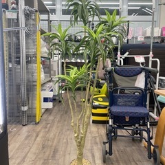 ニトリ フェイクグリーン 