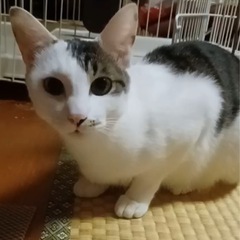 一人暮らしの方大歓迎‼️ゆっくり慣れてね