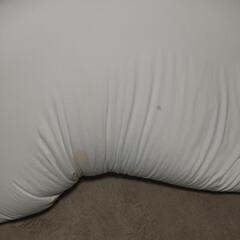 人をダメにするクッションの画像