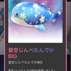 【未使用品】星空じんべたんでかＢＩＧ ジンベエザメ、ぬいぐるみの画像
