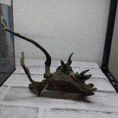 【取引中】アクアリウム流木の画像