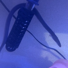 ウナギ 観賞用