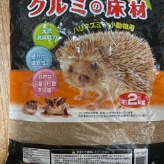 クルミの床材