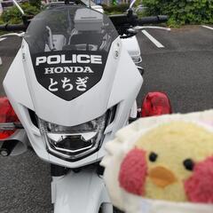 【バイク熱波】6月25日改定ゴールデンウィーク明けて😄まだまだ募集中🥕佐野市発　バイク好き仲魔募集　最低限素性明かせる人のみよろしくねもちろん私も身分明かします😁 - 佐野市