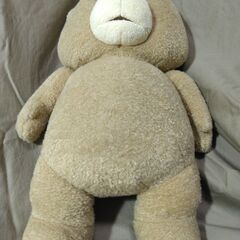 tedの画像