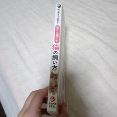 猫の飼い方　本の画像