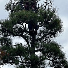 造園師　植木やの画像