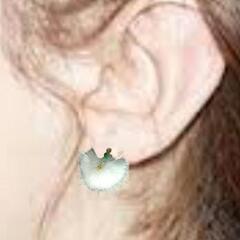 14KGF ムンクファーエメラルドの画像