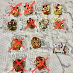 ディズニー・シー　アブーズバザール景品　ピンバッジ