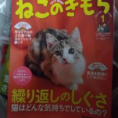 ねこのきもちの画像