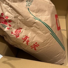 令和6年度 こしひかり新米10kg