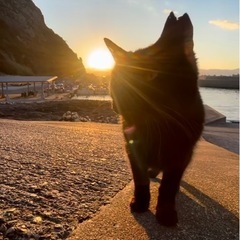 一緒にプチっとスポーツしませんか？^^ - 鹿児島市