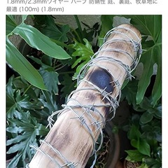 有刺鉄線　約200mの画像