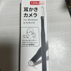 耳かきカメラ　ダイソー