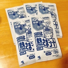 【新品未開封】熱さまシート大人用 (2枚×5包)