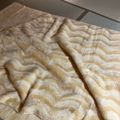 昭和の毛布　大判の画像